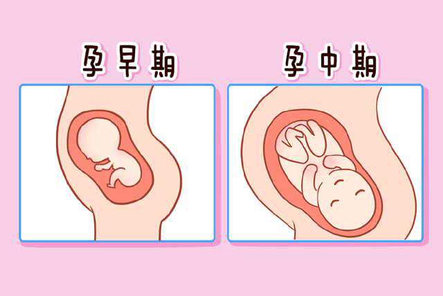 孕囊7周大夫多年经验看是男孩,7周孕囊 男女 弊尿