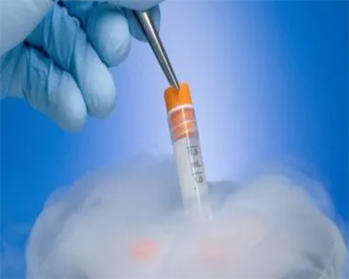 试管婴儿囊胚培养的成功率高吗，备孕可以闻樟脑球的味道吗