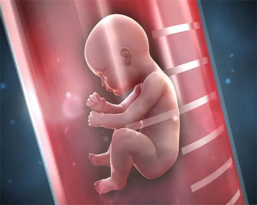 第三代试管婴儿囊胚移植后多久可以测怀