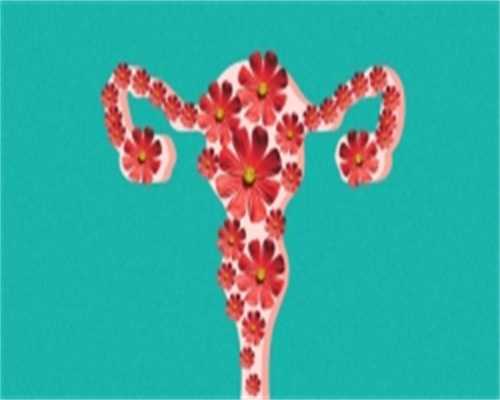 胚胎碎片会影响试管婴儿的成功率吗？什