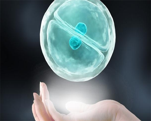 <strong>试管婴儿移植前孕酮15可以移植胚胎吗</strong>