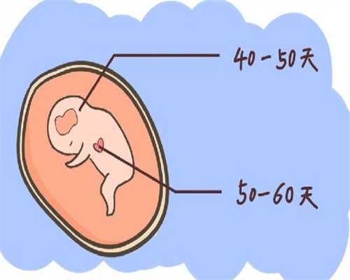 受精卵生死存亡多个瞬间,揭秘试管婴儿胚胎培养!