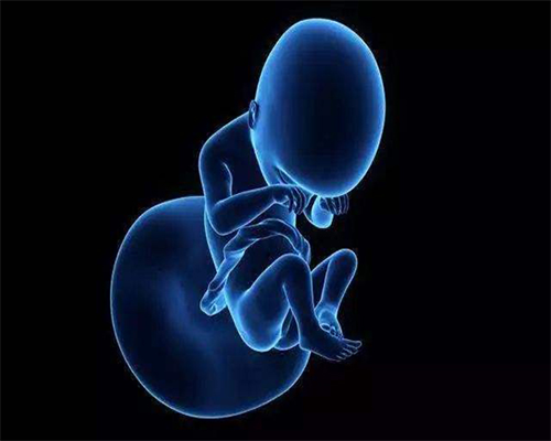 试管婴儿周期中取卵数与胚胎数量为什么会不同