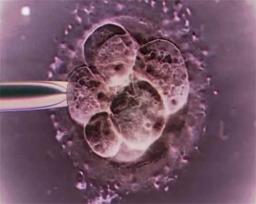 什么原因会造成试管婴儿取卵多、胚胎少
