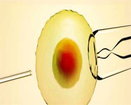单囊胚移植可以提高试管婴儿的妊娠率吗