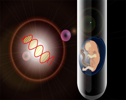 做试管婴儿男方也要备孕？提升精子质量“四素一荤”不能少！