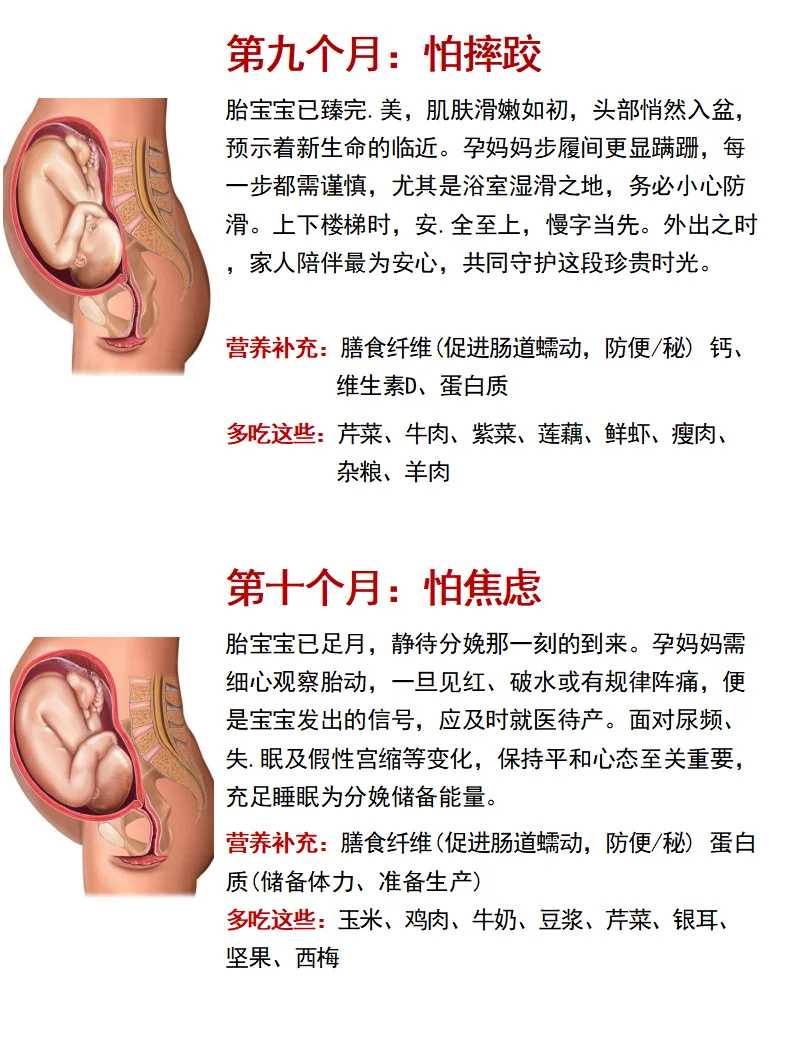 [普洱试管婴儿]为什么她们更愿意去美国做试管婴儿？