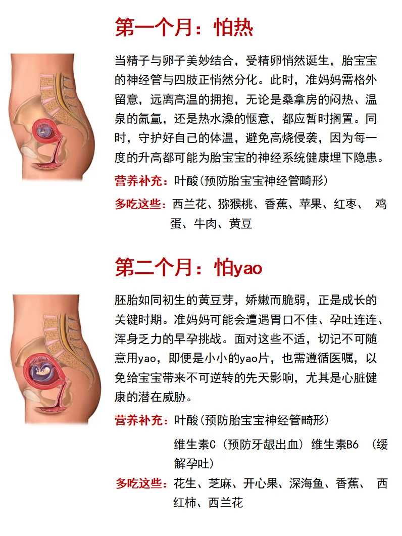 试管婴儿怎么处理精子