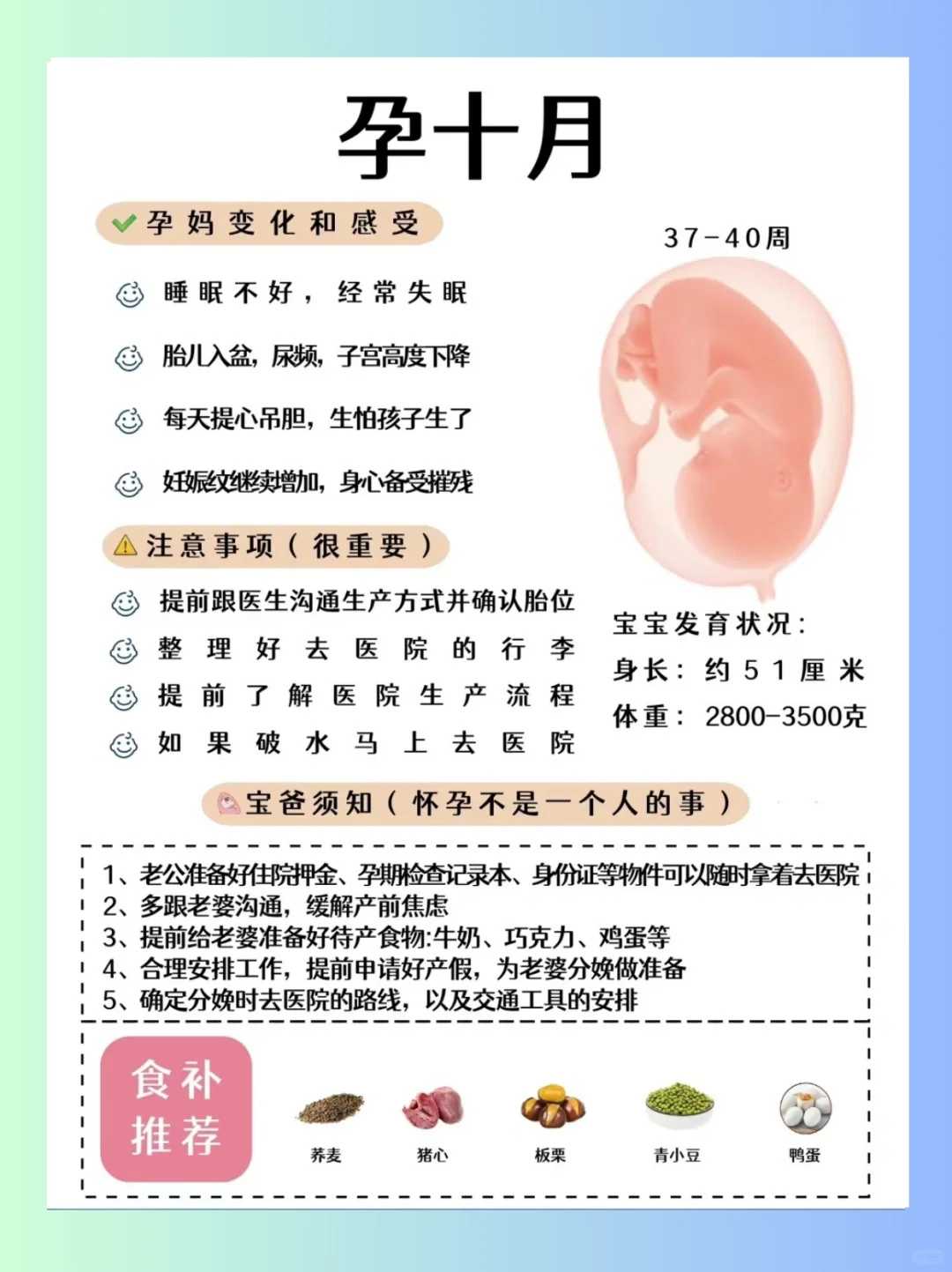 试管婴儿怀孕后如何做胎心监护?