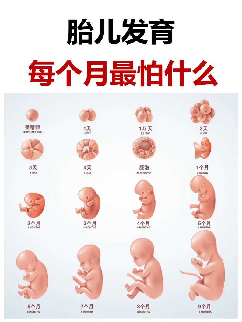 佛山顺德区能做二代试管婴儿的医院有哪些？