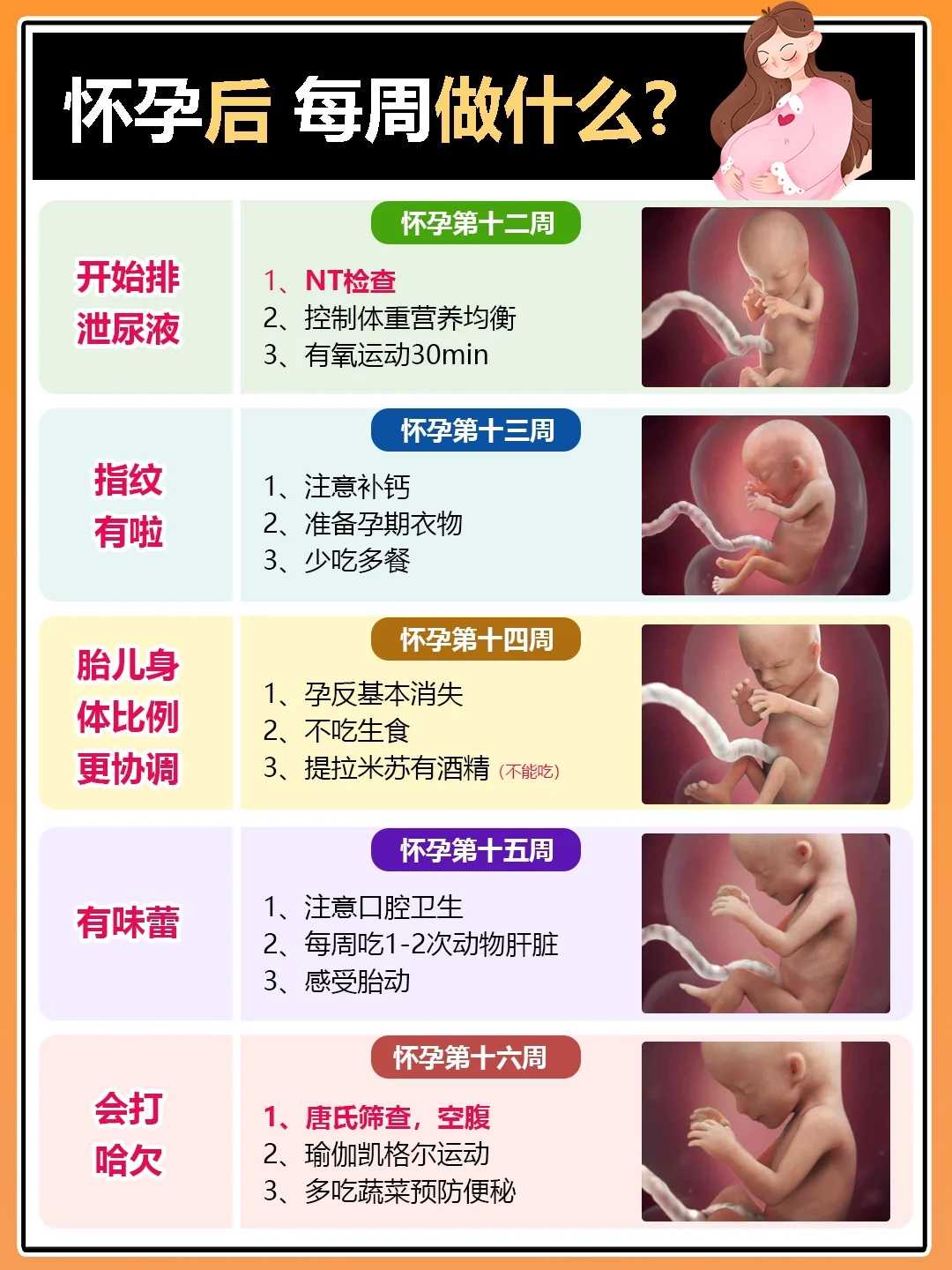 试管婴儿是怎么一步一步助孕成功的？