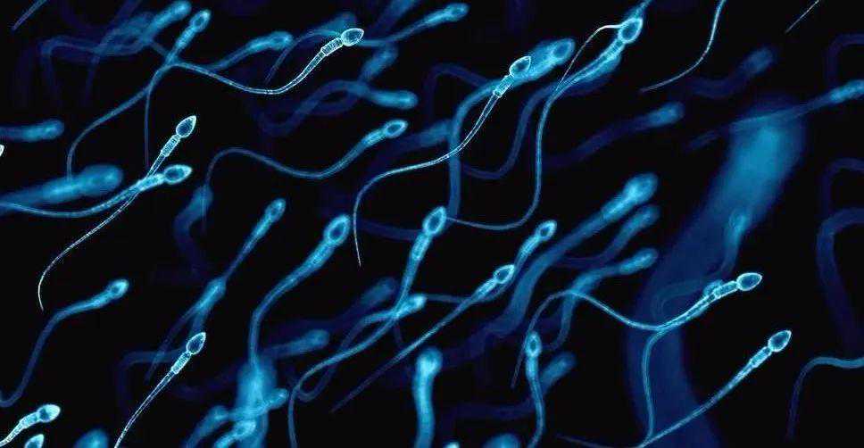 同房后精子多久可以到达输卵管呢？
