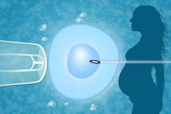 什么原因会造成试管婴儿取卵多、胚胎少？