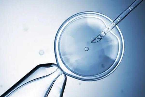 试管婴儿雌二醇多少可以移植？