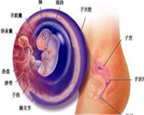6细胞2级的胚胎是直接移植还是养囊的成功率高？