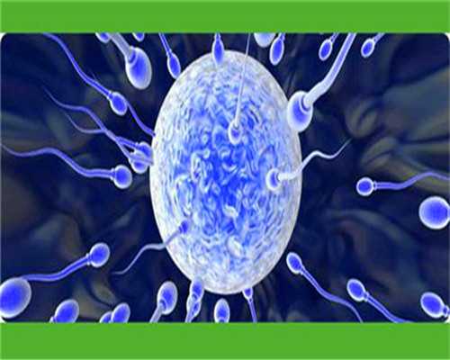 河南省人民医院排队做供卵试管到胚胎移植环节需要等多久？