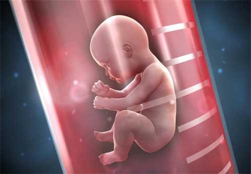 试管婴儿前期检查怎样观察精液是否正常？