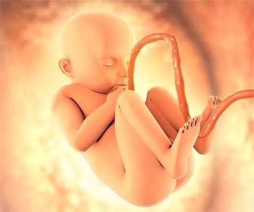 成都供卵助孕机构排名2023新鲜出炉！剖析供卵生子试管助孕条件